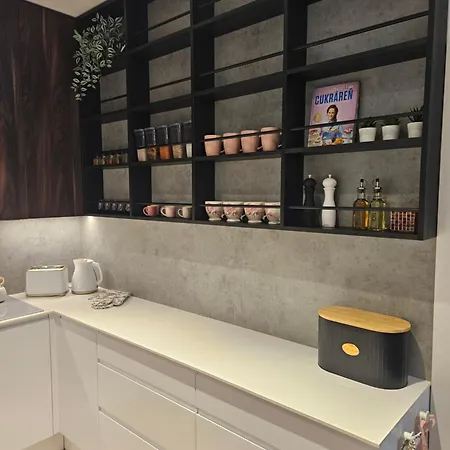 Rose Luxury & 24h Self Check-in With Private Parking Apartmán Banská Bystrica